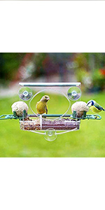 Lou's Nature Store Complete Window Feeder