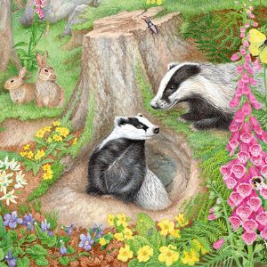 Falcon de Luxe, Animals, animal theme puzzle, animal puzzle for adults, animal jigsaws, cute puzzle