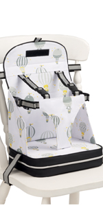 Polar Gear Baby 5 Point Harness Booster Seat