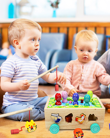 Shape Sorting Toys