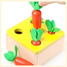 Carrot Harvest Game-A+3