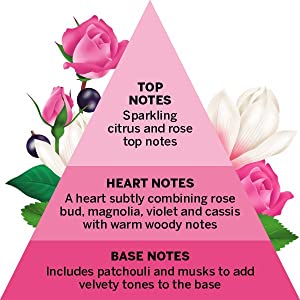 English Rose, Yardley London, Fragrance