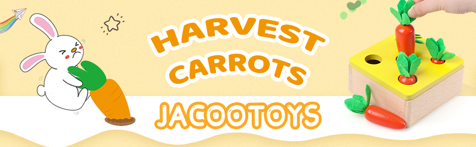 Carrot Harvest Banner-A+
