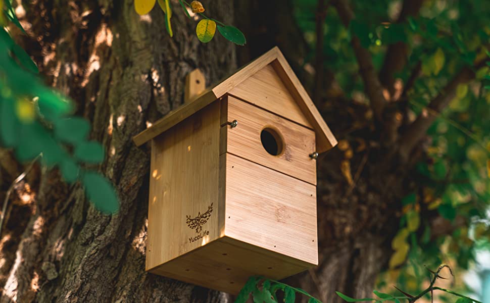 birdhouse, bamboo, nesting box, bird box, garden bird box, bird, garden, outdoor, nesting