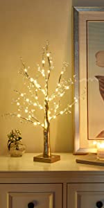 Pre-lit 2FT 48 LED Table Timer LED Bonsai Tree