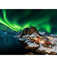 puzzles for adults 1000 piece