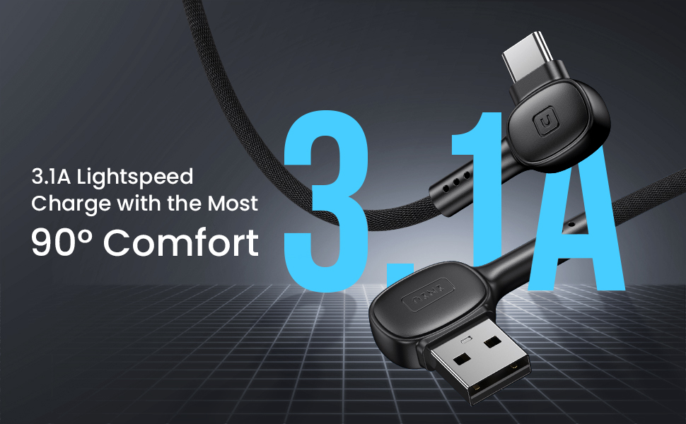 INIU USB C cable
