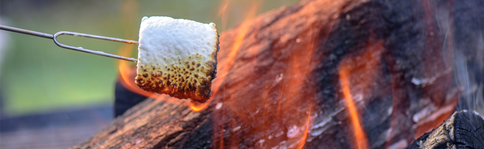 Barbecue Forks for Hotdog