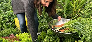 vegetable garden, seed spacing template, square foot gardening, seed sowing tool, carrots, peas