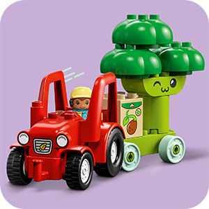 10982_DUPLO