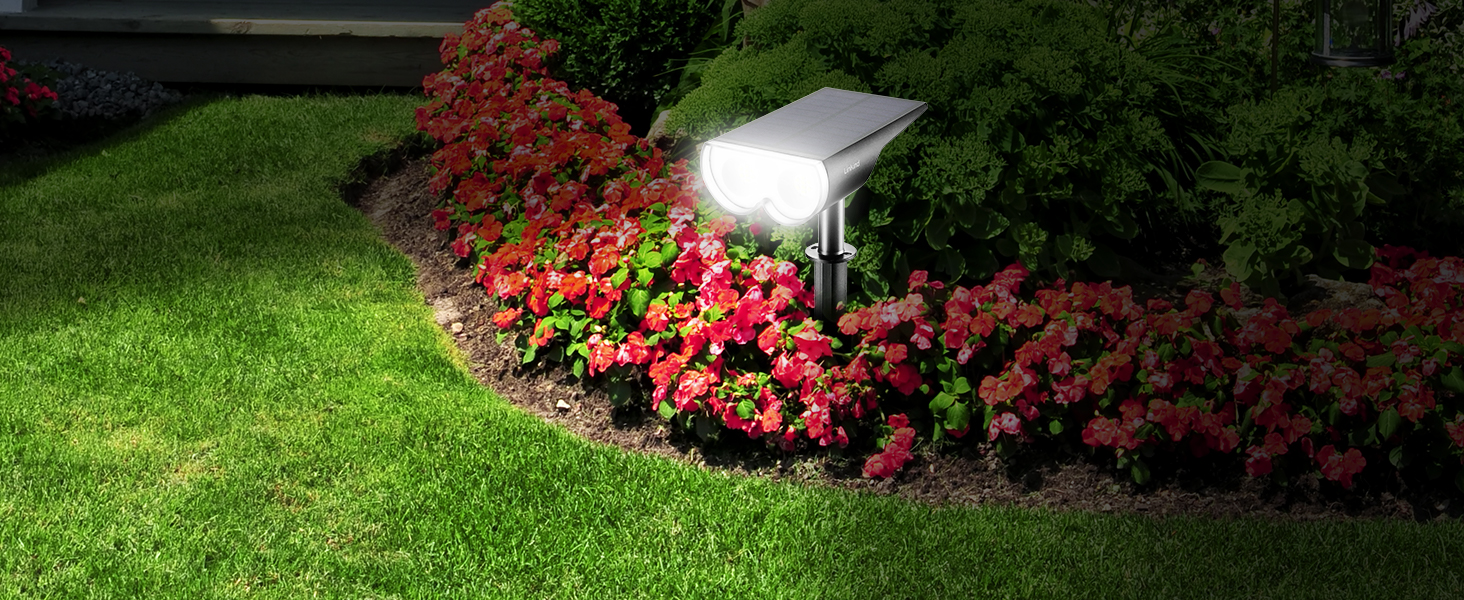 solar garden lights
