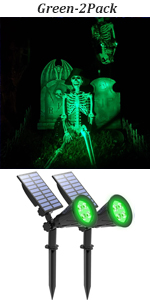 GREEN SPOTLIGHT