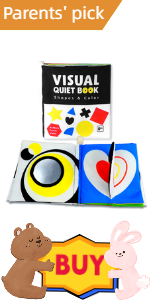 Shape Cognition Book