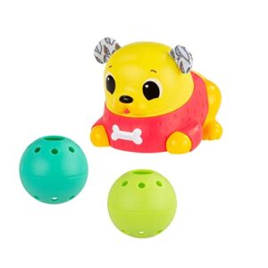 Lamaze Crawl and Chase Pug Popper