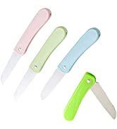 Fruit Knife, 4 Pack Small Kitchen Knife Sets with Protective Cover, Sharp Vegetable Knife Set, St...