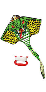 dragon kite