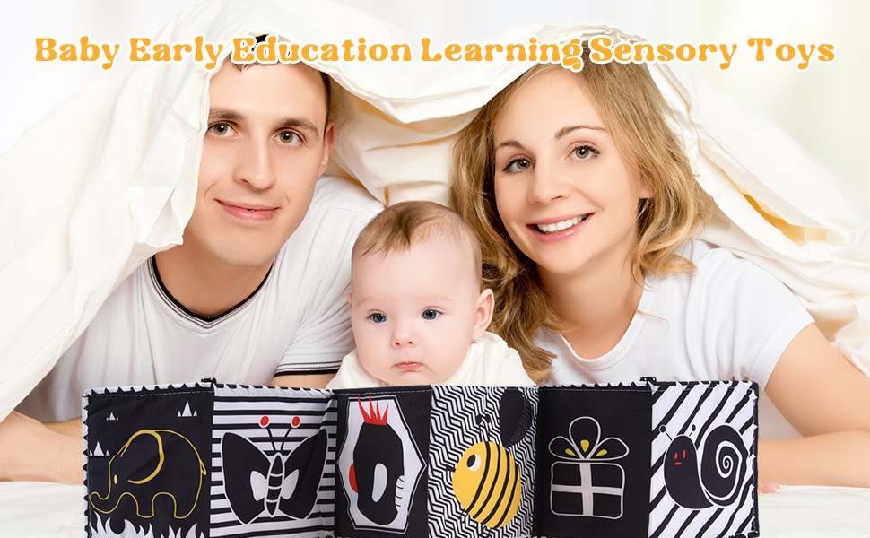 Sensory Toys
