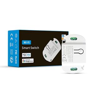 Woolley WiFi Smart Switch Wireless Smart Switch Module For Home Automation Smart Relay Switch 10A Works With Alexa