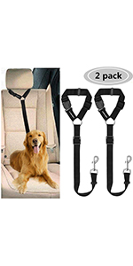Dog seat belt 