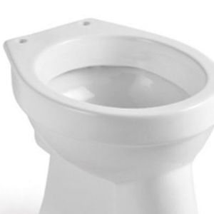 Premium Toilet Seat