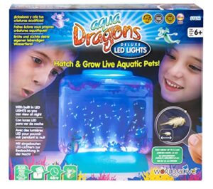 Aqua Dragons Underwater World Dragon Deluxe