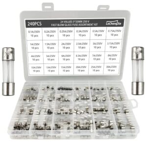 24 Values 240Pcs Fast Blow Glass Fuse Assortment Kit 5 * 20mm 250V with a Clear Plastic Box