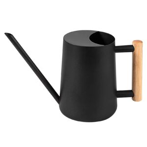 1L Indoor Metal Watering Can