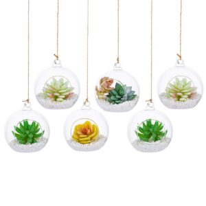 10cm Hanging Glass Globes Terrarium Orbs 6 Pcs Glass Planter Big Opening Air Fern Plants Vase Hanger 4 Inches for Home Party Wedding Garden DIY Desig