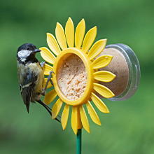 Flutter Butter deluxe