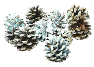 Winter Woods Northern Lights Colour Changing Fir Cones - for Real Open Fires & Wood Burners