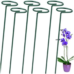 OAHAO 6 Pack Plant Stakes for Flowers