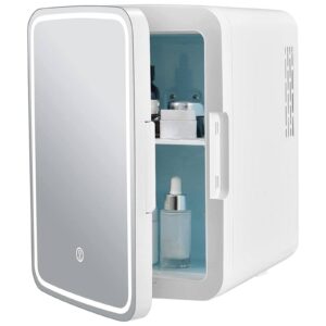 GiantexUK 10L Mini Fridge