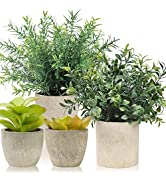 Cekene 3 Pack Mini Potted Artificial Plants Fake Small Eucalyptus Greenery Plastic Faux Plants in...