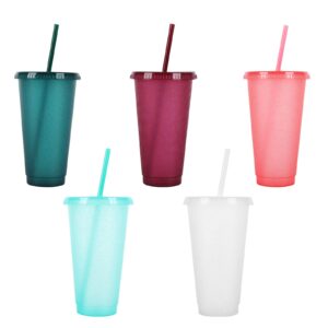 Reusable Plastic Cup 5 Pcs Drinkware Tumblers Coloured Acrylic Cups Tumblers with Lids and Straws Plastic Bulk Iced Plastic Cold Water Tumblers Iced Coffee Cups Travel Mug Party Tumble