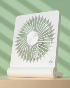 BIVBTP Desk Fan