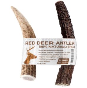 Two Antler Chews for Puppies