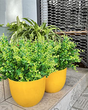 fake boxwood flowers