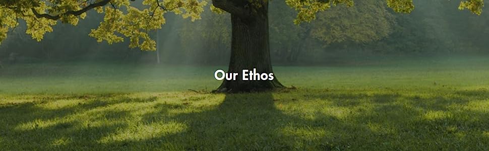 Our ethos