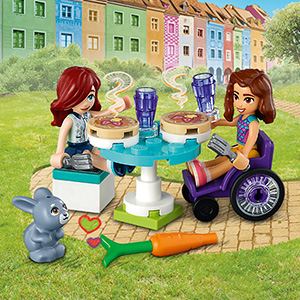 41753_Friends