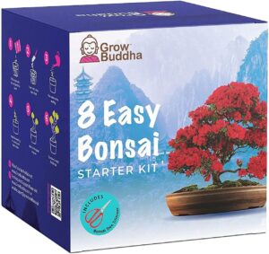 Bonsai Tree Kit | Grow Your own 8 Beautiful Bonsai Tree Varieties at Home| Complete Growing kit – Suitable for Beginners to Experts - Grow Indoor Plants – Memorable Gift for Women