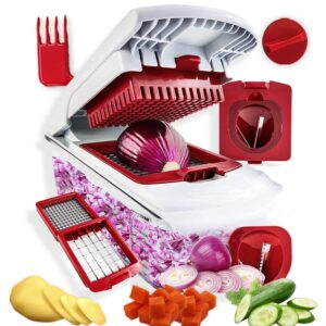 AEX Mandoline Vegetable Slicer 4-in-1 Vegetable Chopper Onion Chopper Food Chopper | Spiralizer Vegetable Slicer Onion Cutter With Container | Food Slicer Veg Chopper Manual Onion Dicer Chopper Cutte