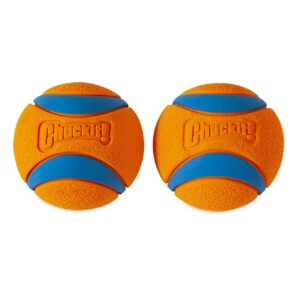 ChuckIt! Ultra Ball Dog Toy