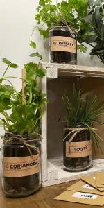 grow your own kit with jars. A gardening gifts for women
