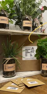 grow your own kit with jars. A gardening gifts for women 