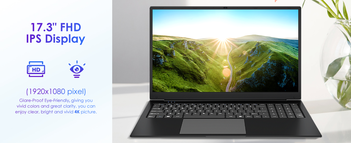 17.3 lnch FHD IPS