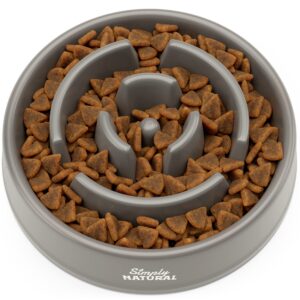 𝐖𝐈𝐍𝐍𝐄𝐑 𝟐𝟎𝟐𝟑 Slow Feeder Dog Bowl Large