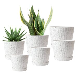 Plant Pots Indoor