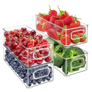 BIWHALE Fridge Organiser Set of 4