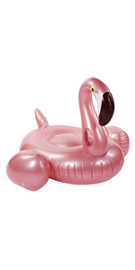 Inflatable Pool Float