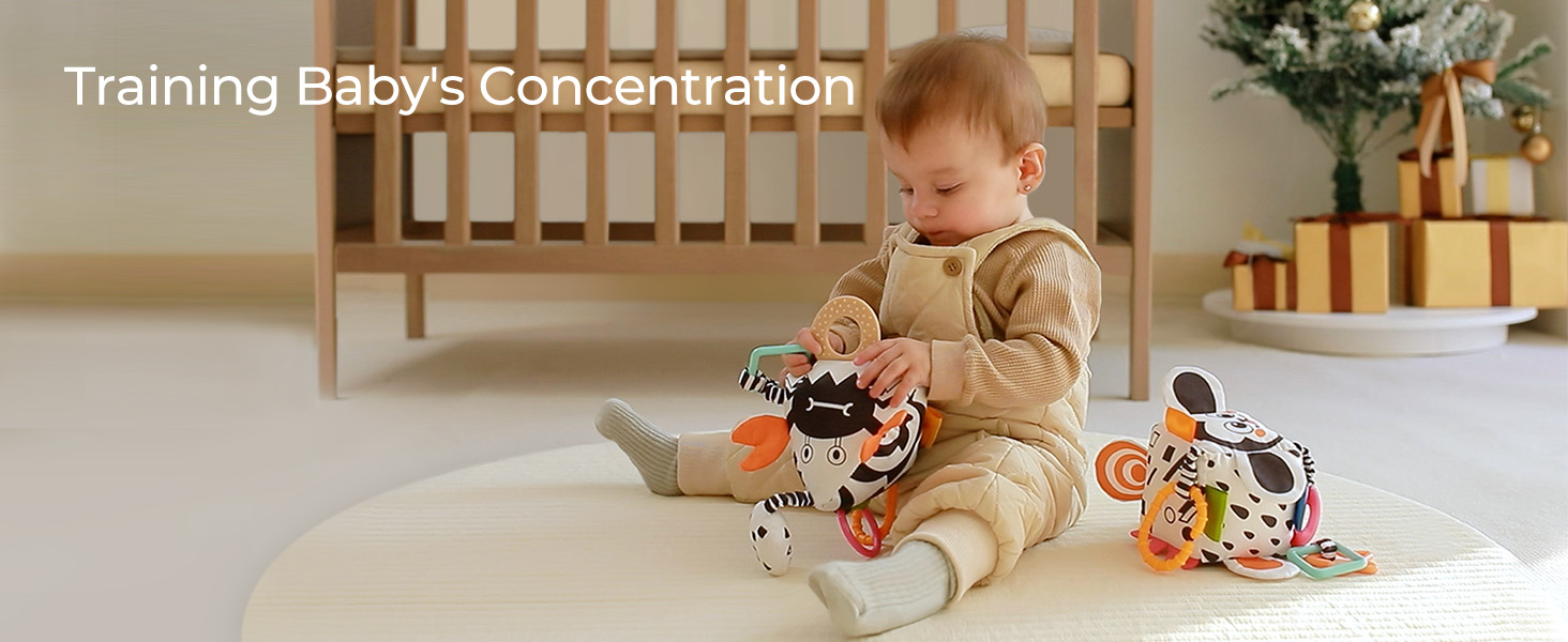 High Contrast Baby Toys